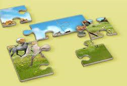 Puzzle do 28.7.2013